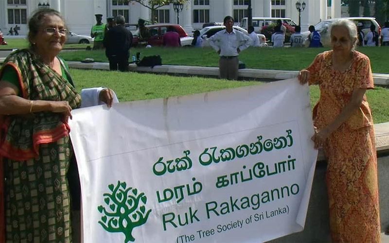 අයිරාංගනී රුක් රැකගන්නෝ 800 500