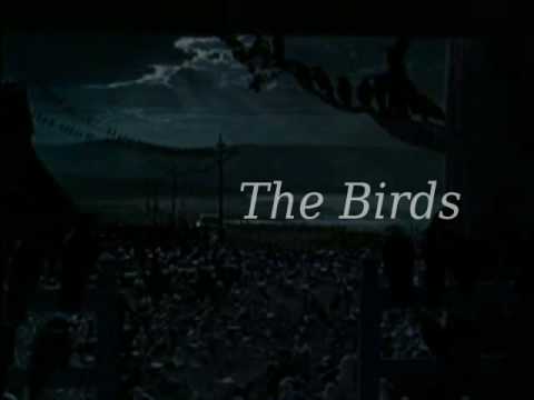 the birds 3